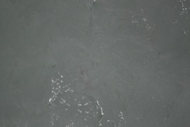 Missing Picture